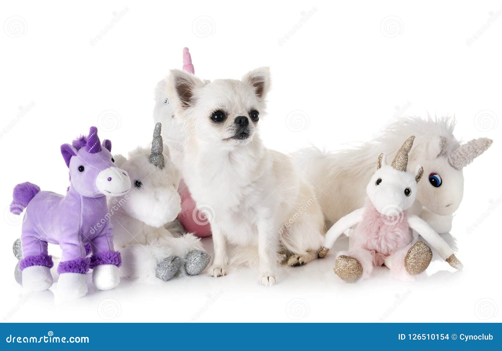 Little dog and unicorn stock photo. Image of humor, background 126510154