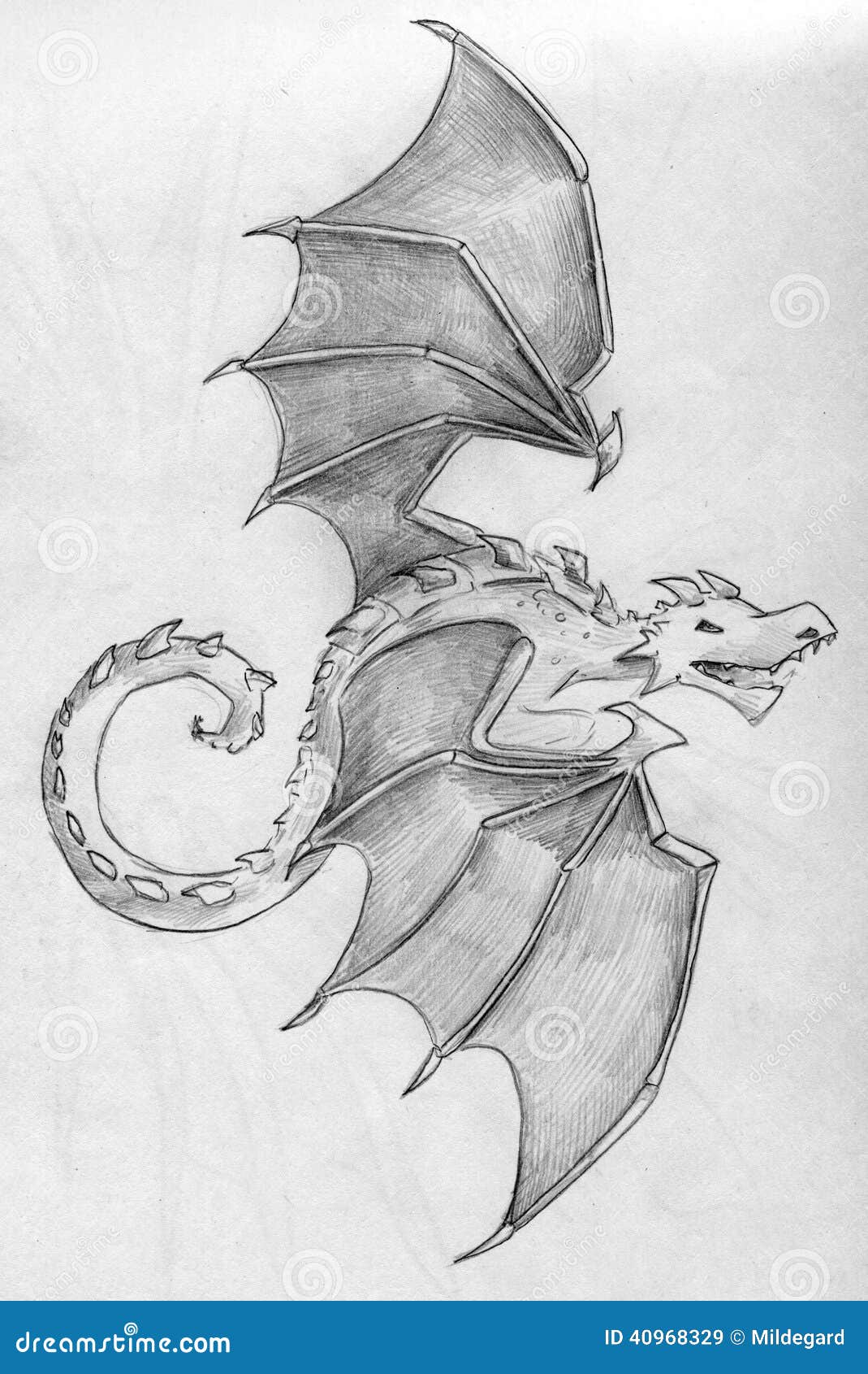 How To Draw A Flying Dragon png images | PNGWing