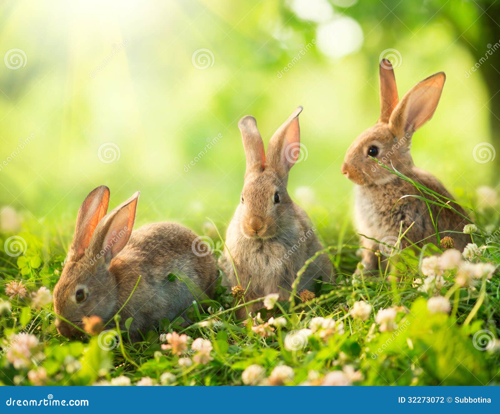 little easter bunnies
