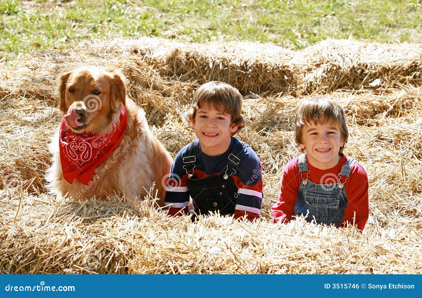 Little Farmers with Dog stock photo. Image of family, model 3515746