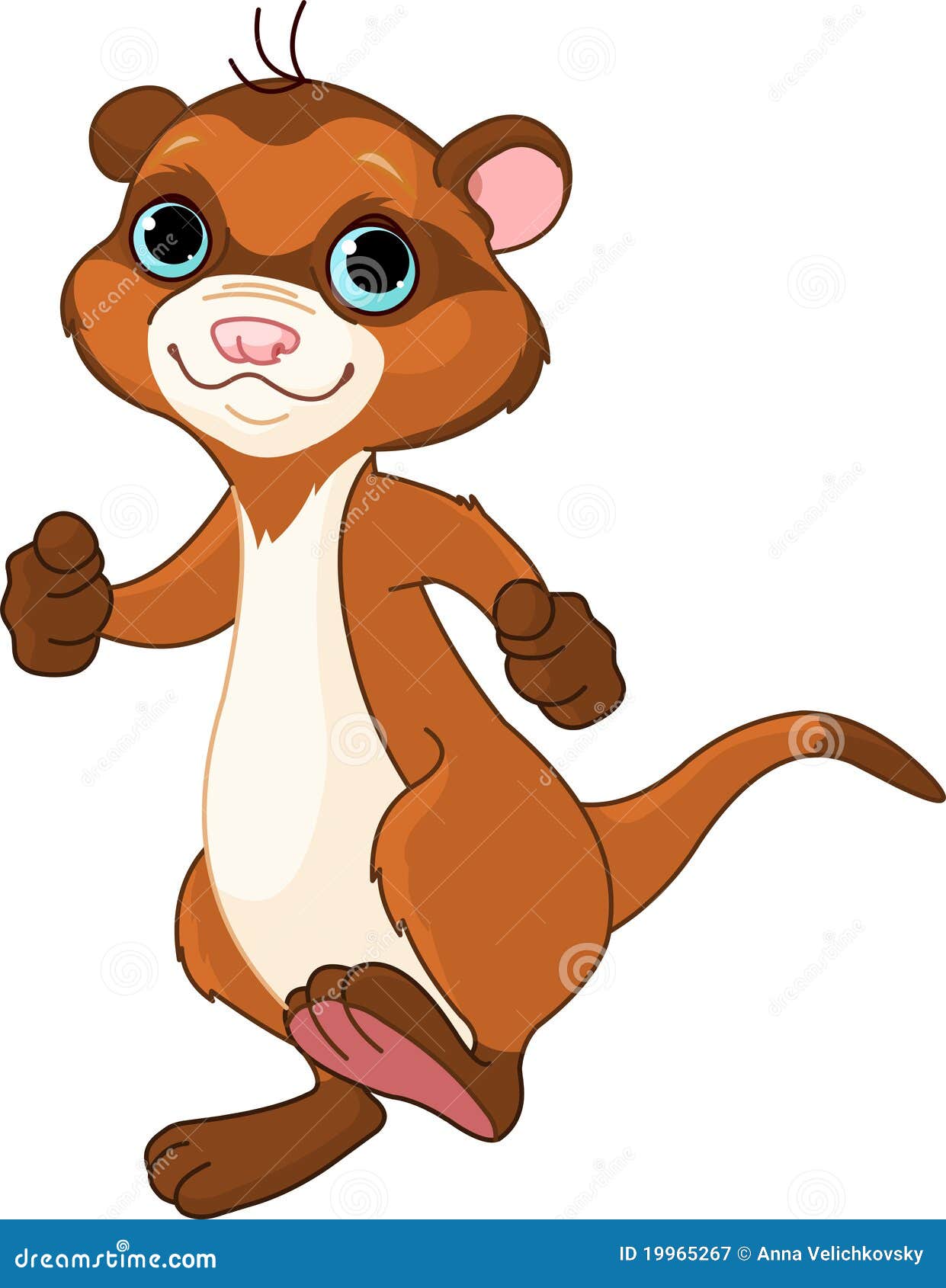 Clip Art Ferret Stock Illustrations 128 Clip Art Ferret Stock