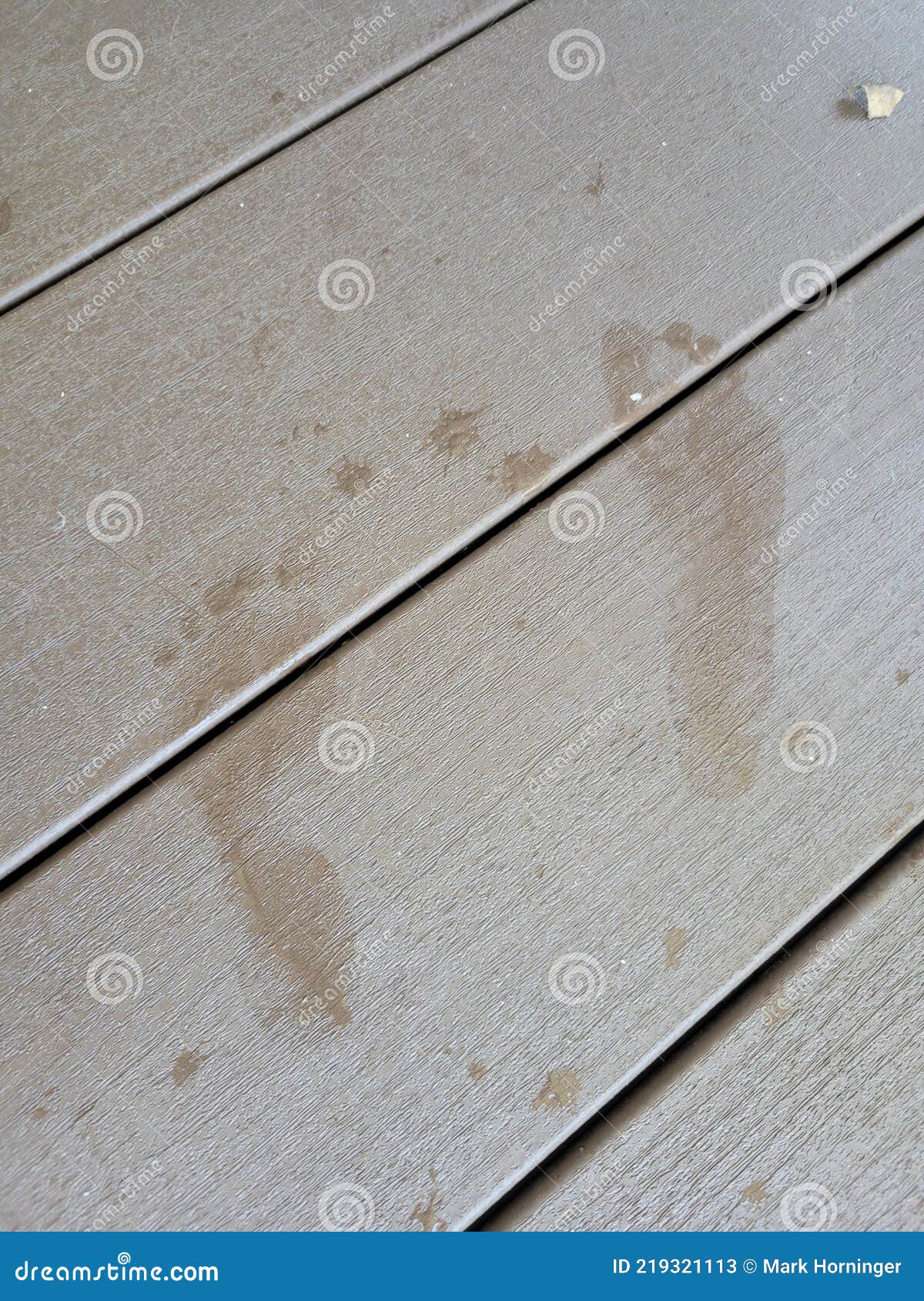 Little Footprints on the Deck Stock Image Image of wood, iron 219321113