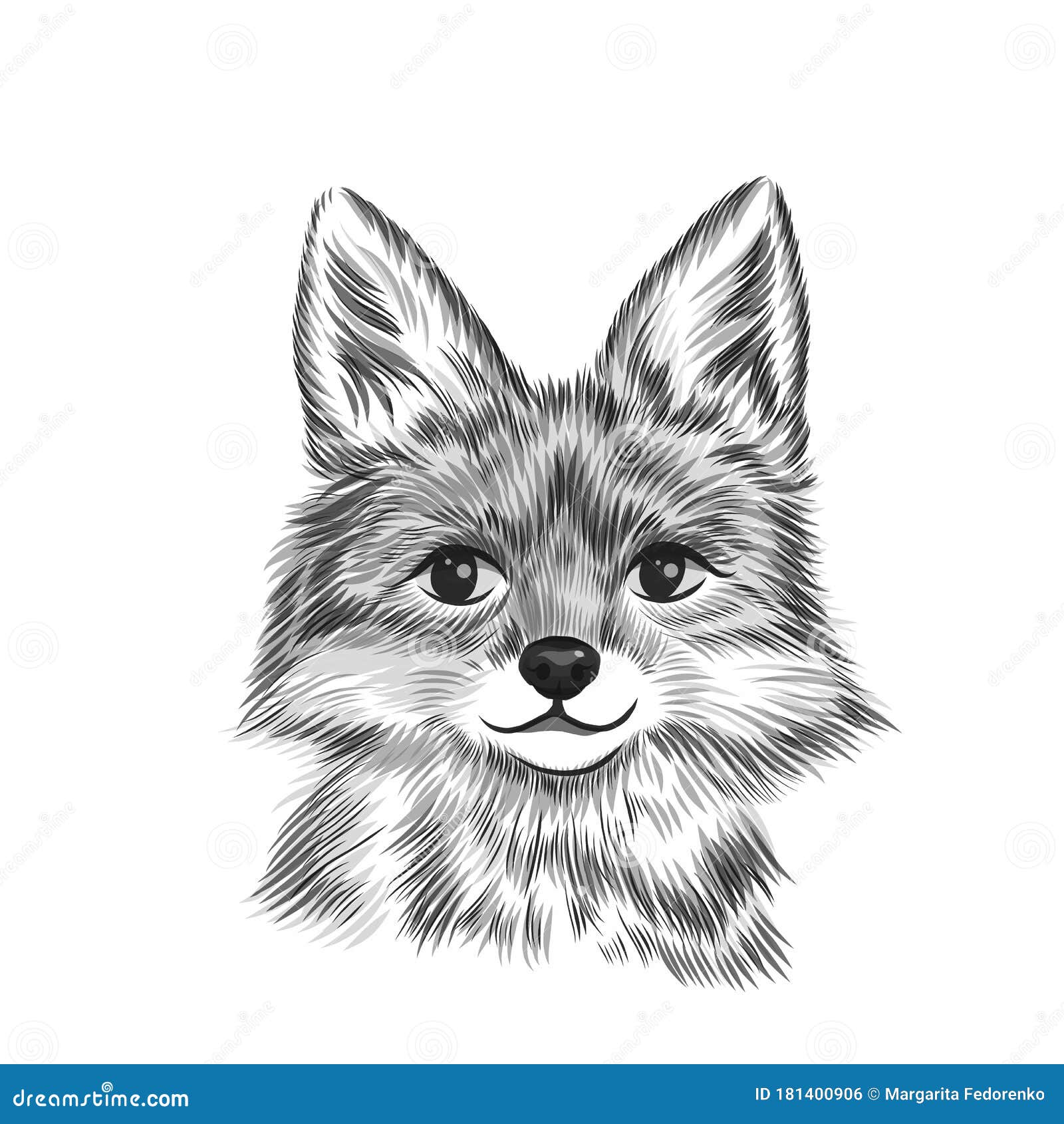 Little Fox, Animal Black and White Vector Illustration. Hand Drawn Sketch Drawing Stock Vector - Illustration of feline, pretty: 181400906 Little Fox, Animal Black and White Vector Illustration. Hand Drawn Sketch Drawing Stock Vector - Illustration of feline, pretty: 181400906
