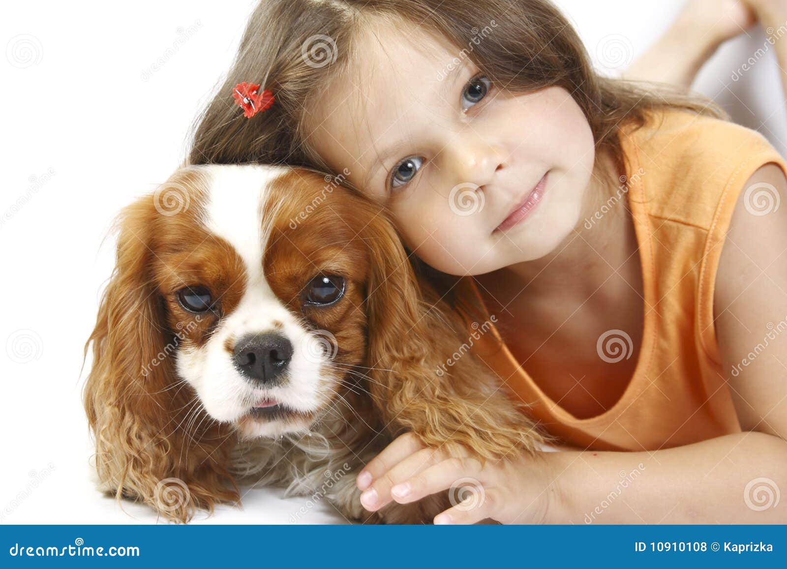 11,125 Isolated Girl Dog Photos - Free & Royalty-Free Stock Photos from  Dreamstime
