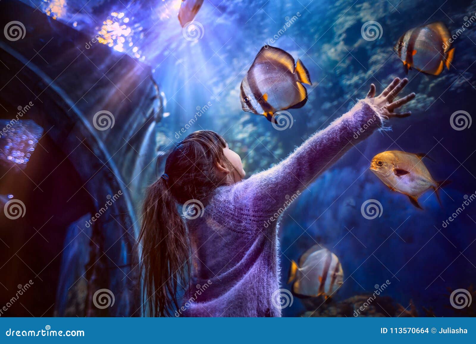 little girl in the aquarium