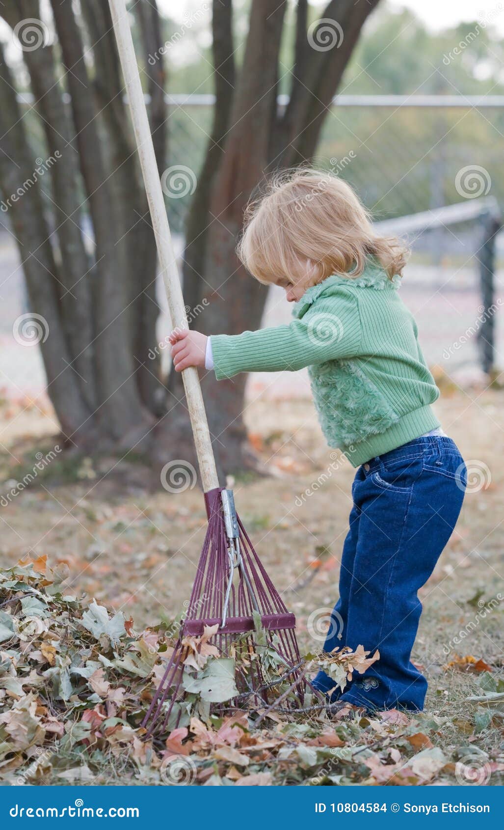 Little Girl in Autumn stock photo. Image of playful, play - 10804584