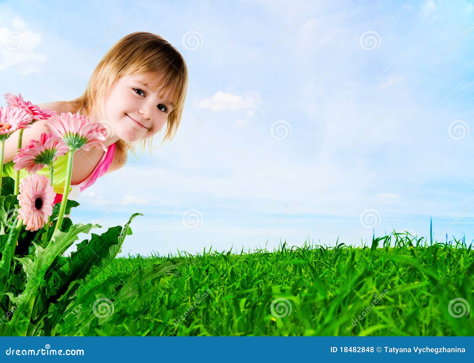 Little Girl on a Background a Meadow Stock Photo Image of happiness