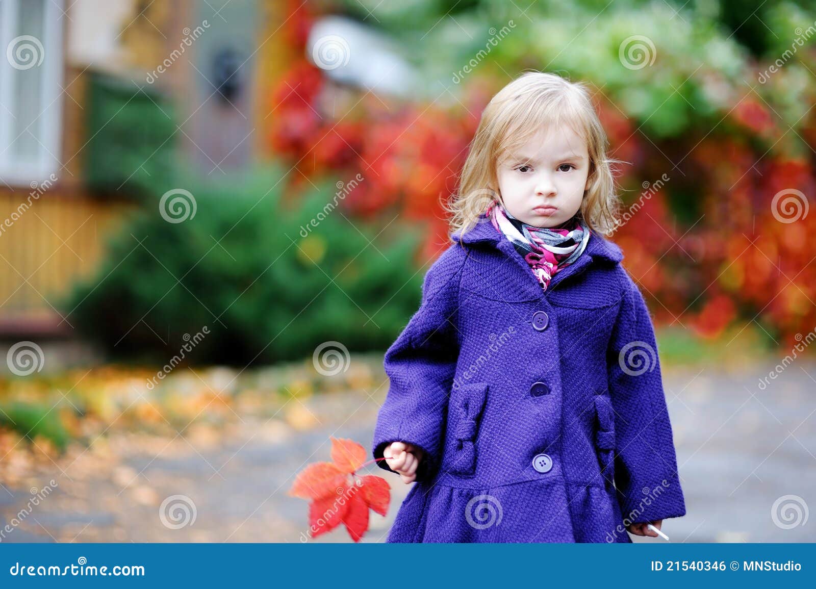 Little Girl in Bright Blue Coat at Autumn Stock Photo Image of