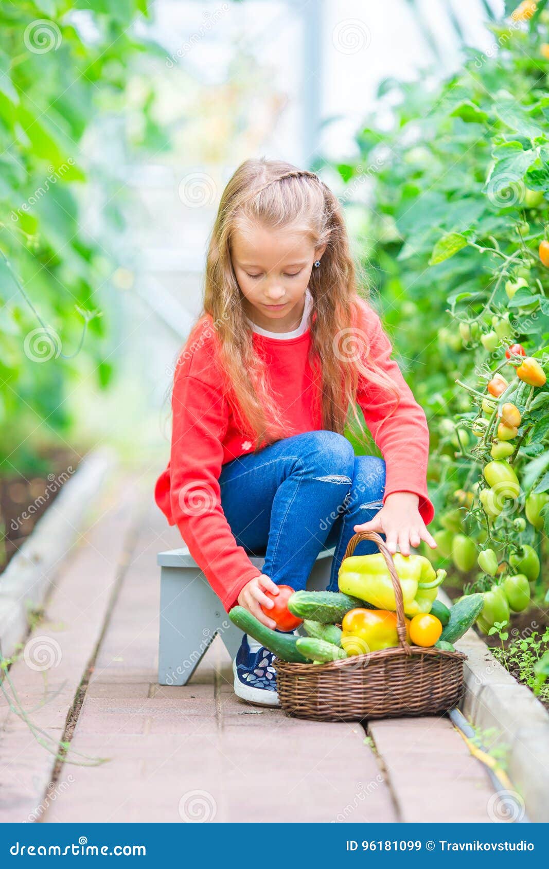 Little Girl Collecting Crop Cucumbers and Tomatos in Greenhouse ...