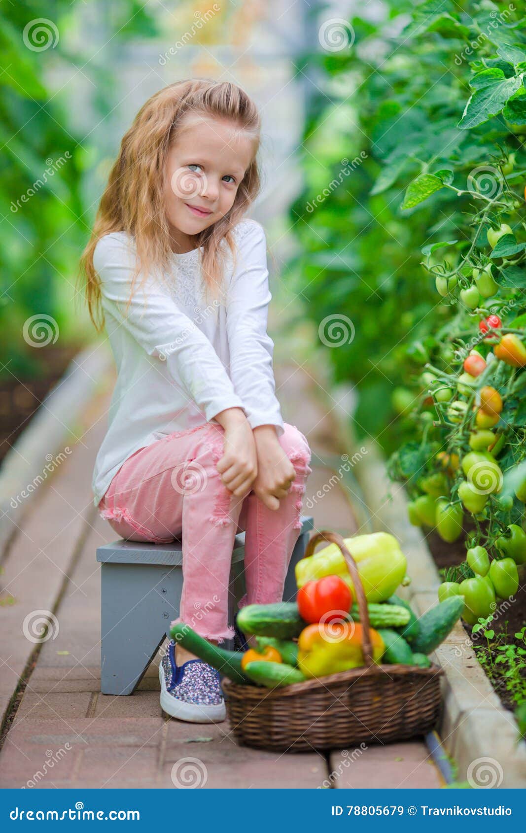 Little Girl Collecting Crop Cucumbers and Tomatos in Greenhouse. Time ...