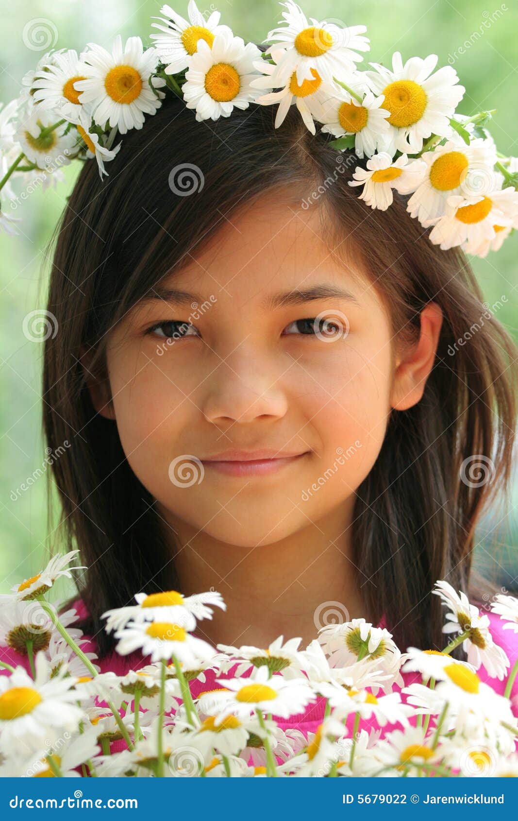 Little Girl with Crown of Daisies Stock Photo Image of outdoors