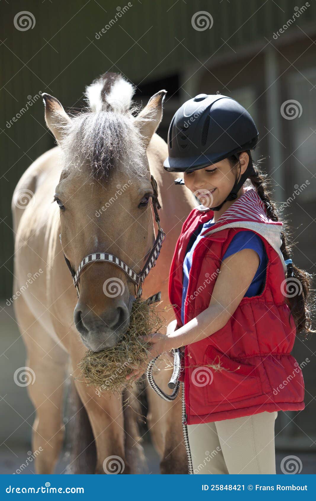 little girl feeding her favorite horse some hay