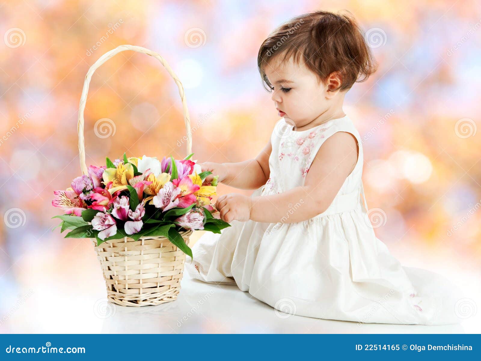 Little Girl and Flower Basket Stock Image Image of child, cute 22514165