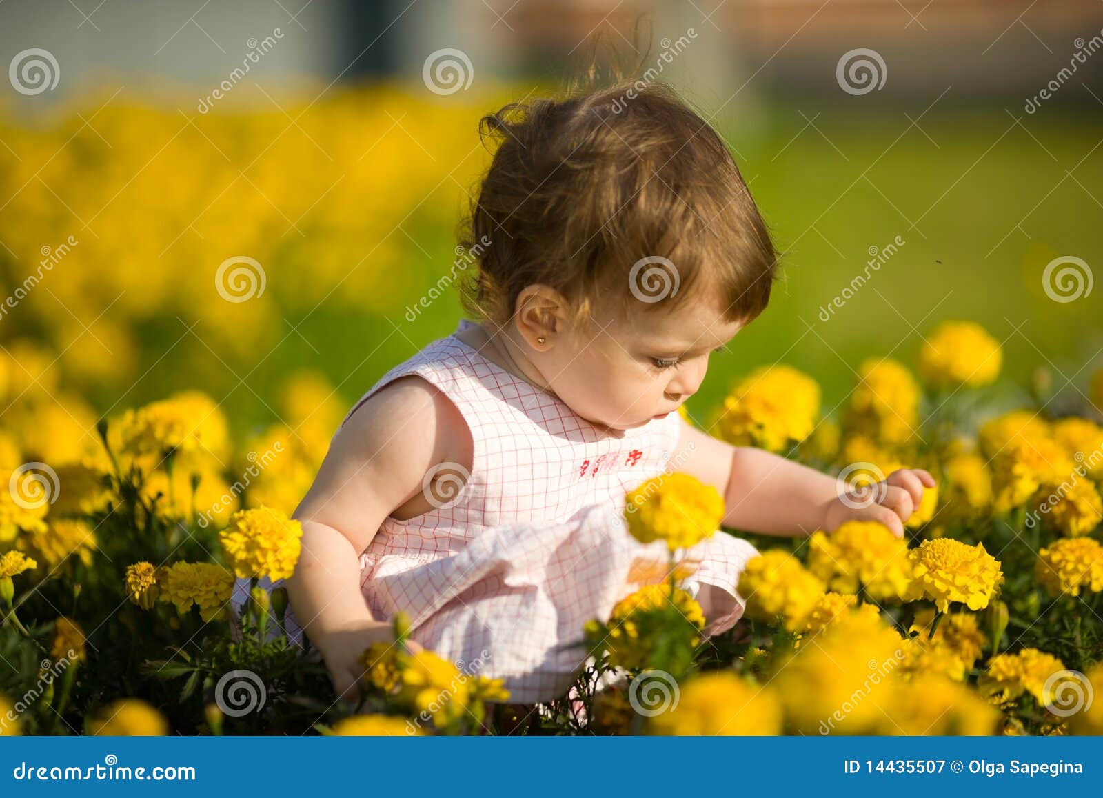 Little girl in flowers stock image. Image of face, outdoors 14435507