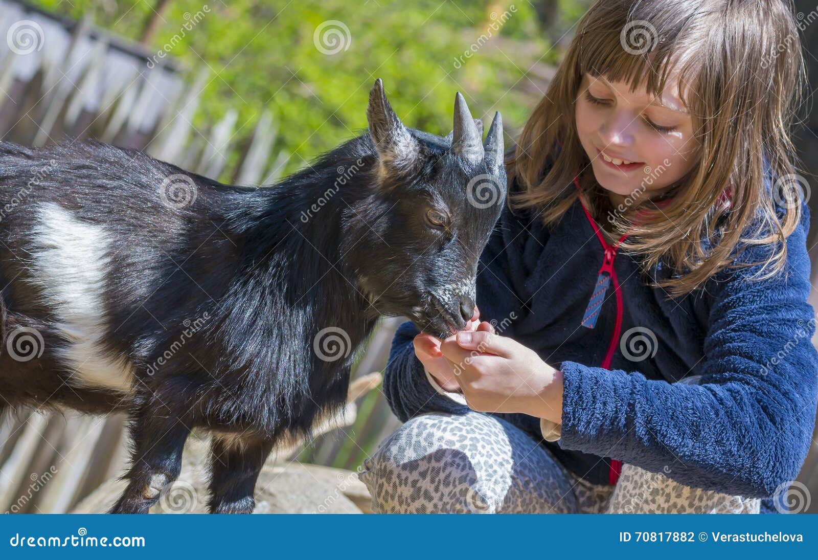 Little girl with goat stock photo. Image of spring, goat 70817882