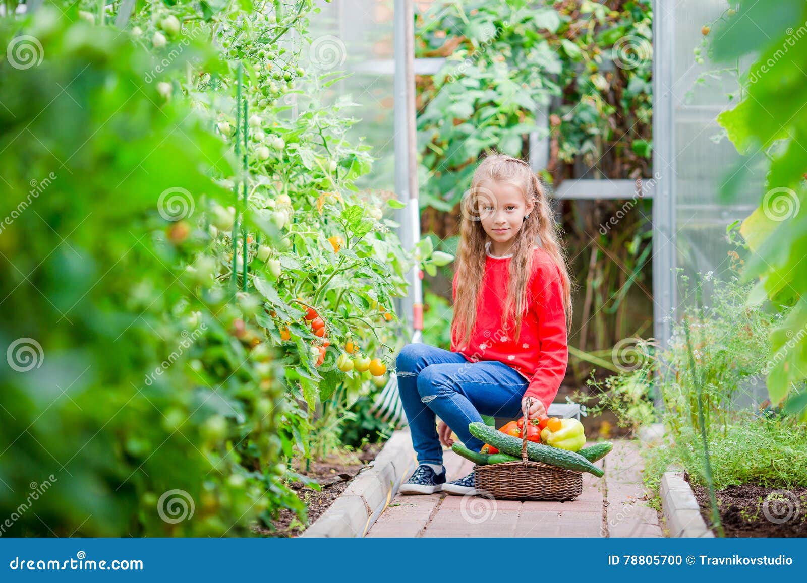 Little Girl in Greenhouse with Basket Full of Harvest. Time To Harvest ...