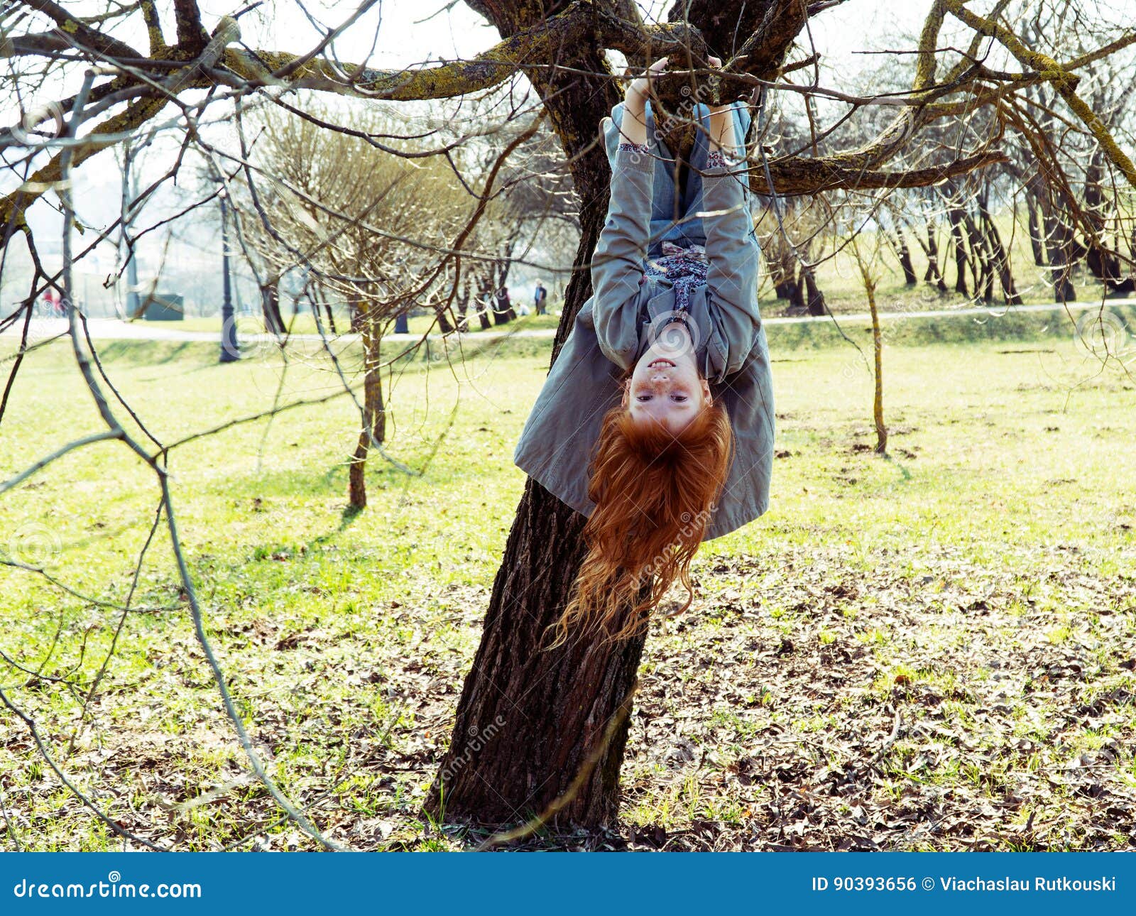 Little Girl Hanging Upside Down on a Tree Stock Photo Image of spring