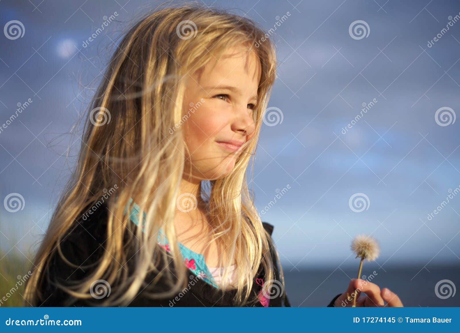 Little Girl Holding Dandelion Flower Stock Image - Image of flowers ...