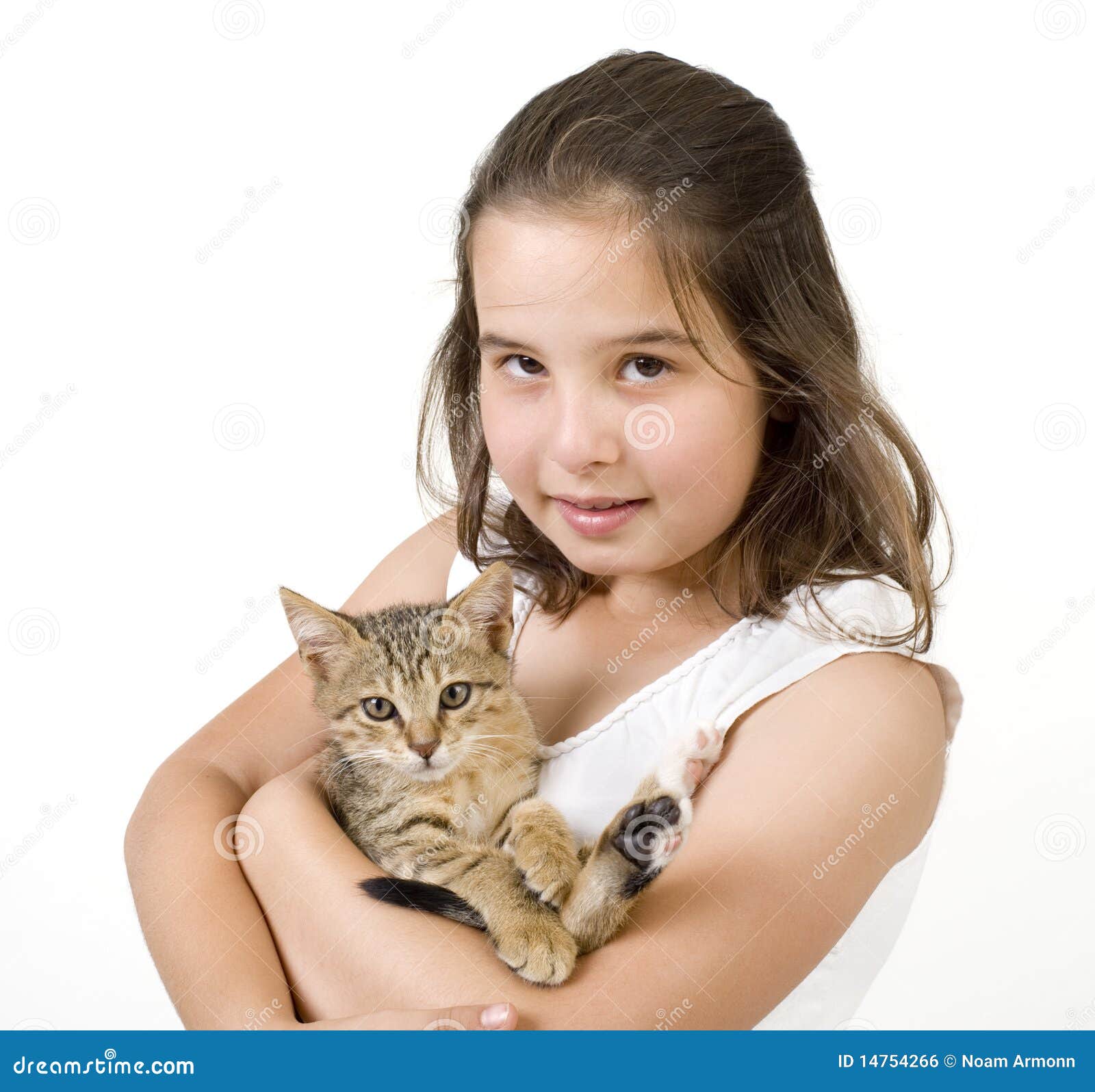 Little Girl Holding a Kitten Stock Photo Image of brown, cute 14754266