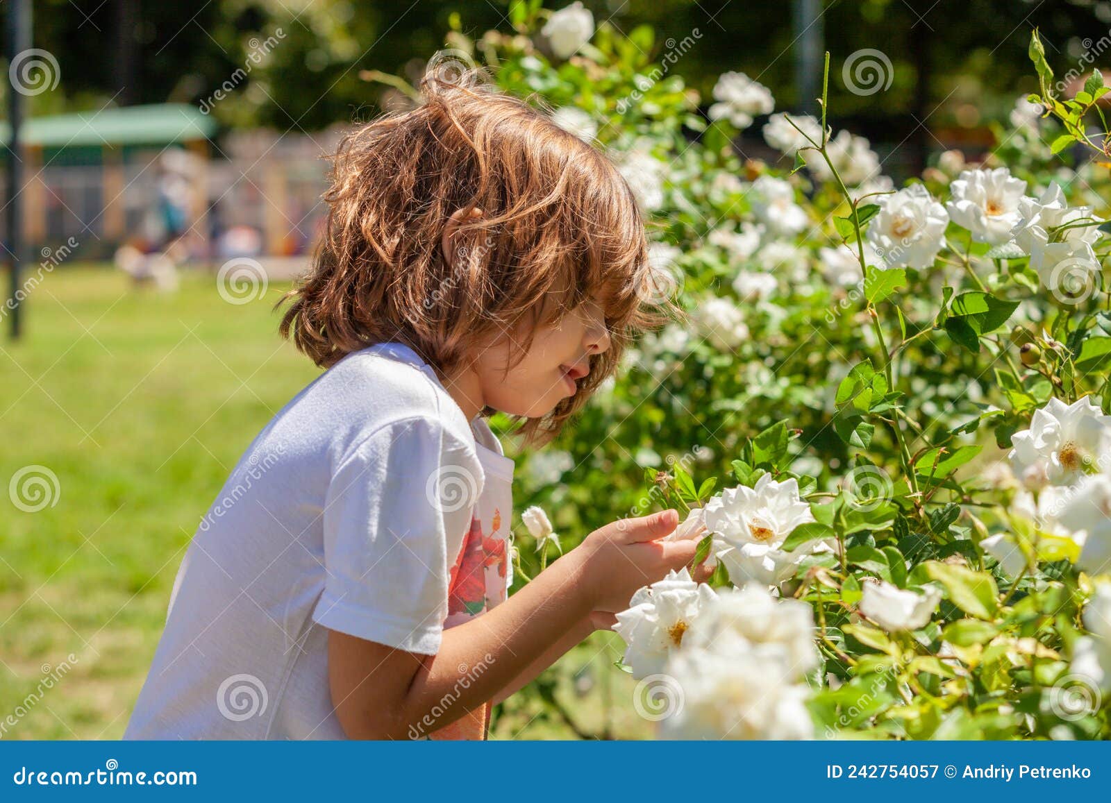 little girl holding a rosee in the park