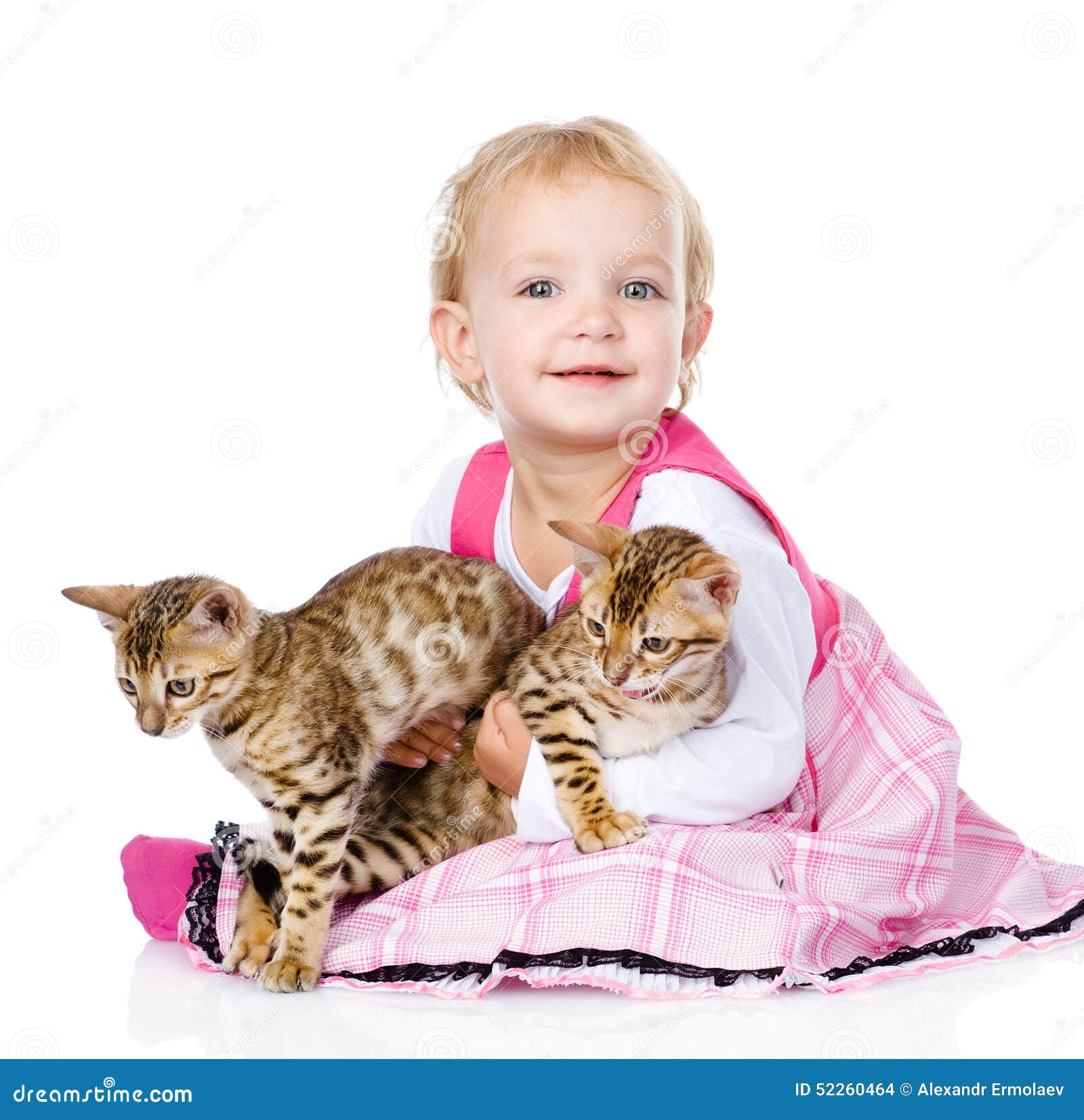 Little Girl Holding Two Cats. on White Background Stock Photo Image