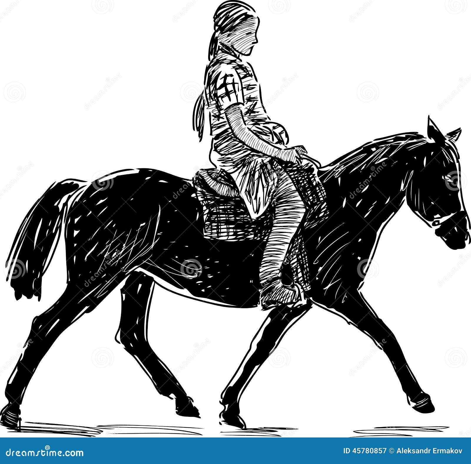 Drawing Of Young Horse Rider Woman Performing Dressage Training Horse Riding  Horse Stallion With Jockey Drawing For Sport Vector Illustration Stock  Illustration - Download Image Now - iStock