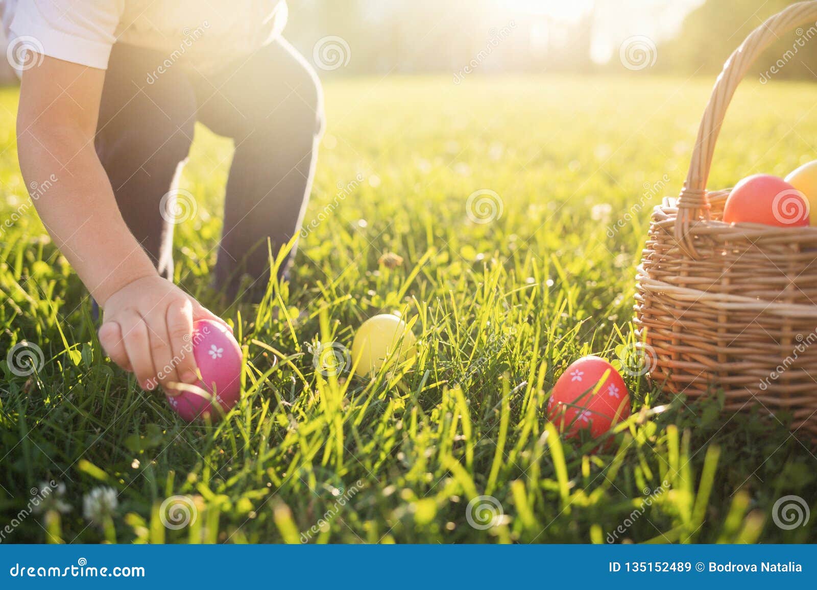 little girl hunts easter egg. child putting colorful eggs in a basket