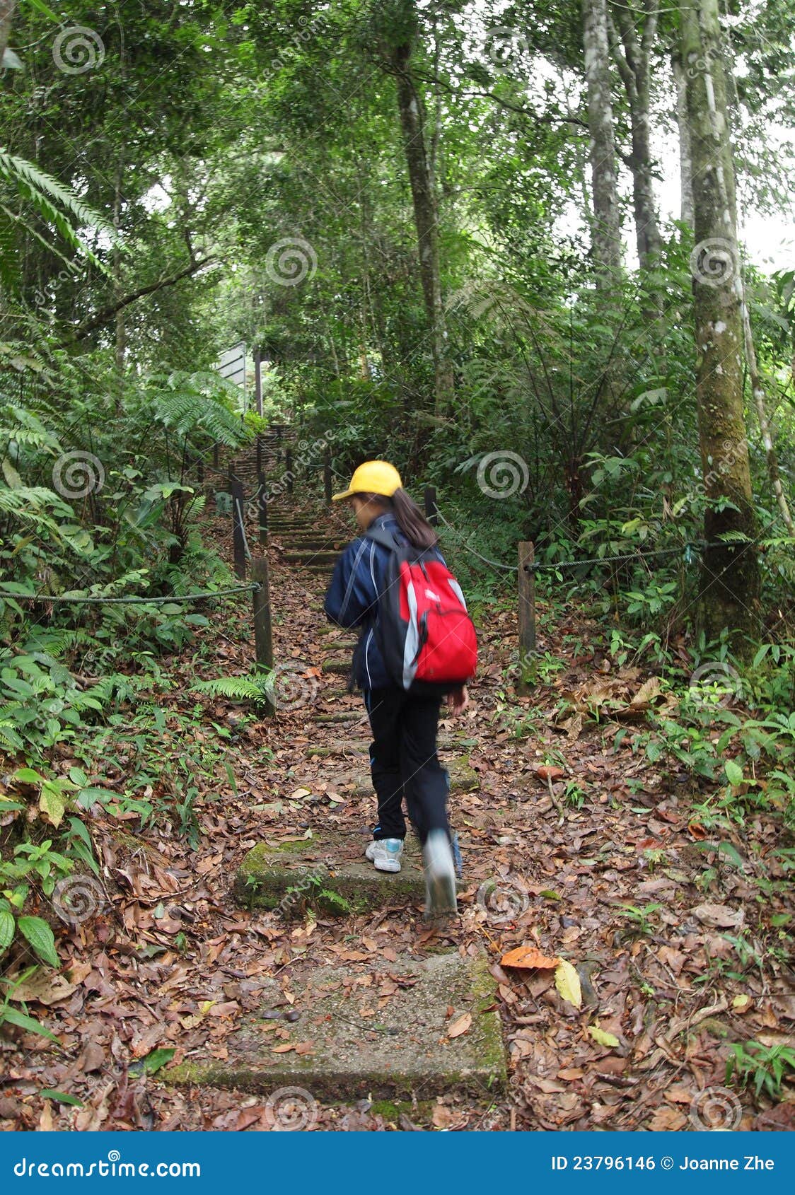 Little Girl On Nature Trekking Hike In Forest Stock 23796146 -