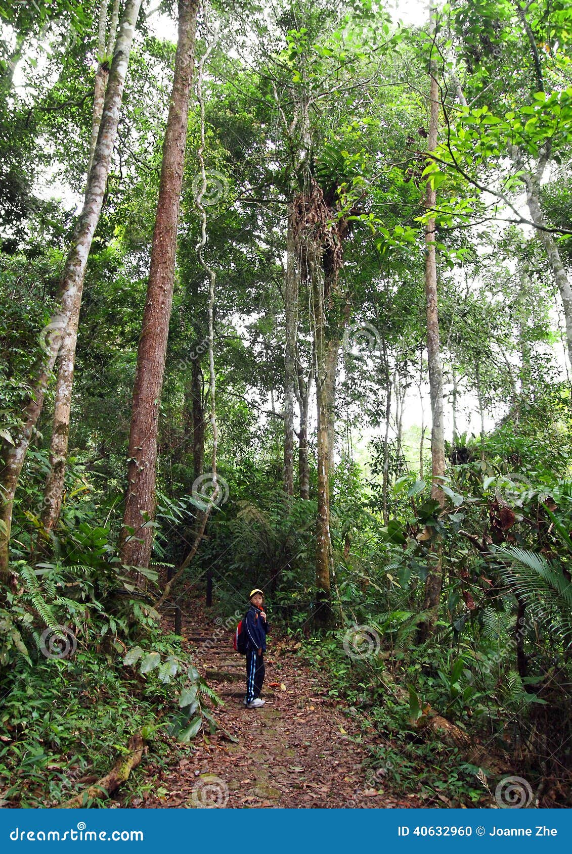 Malaysia kuala lumpur louis vuitton hi-res stock photography and images -  Alamy