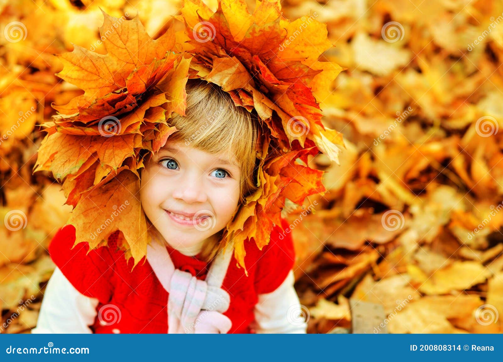 Little Girl Outdoors in Fall Stock Photo - Image of happiness, happy ...