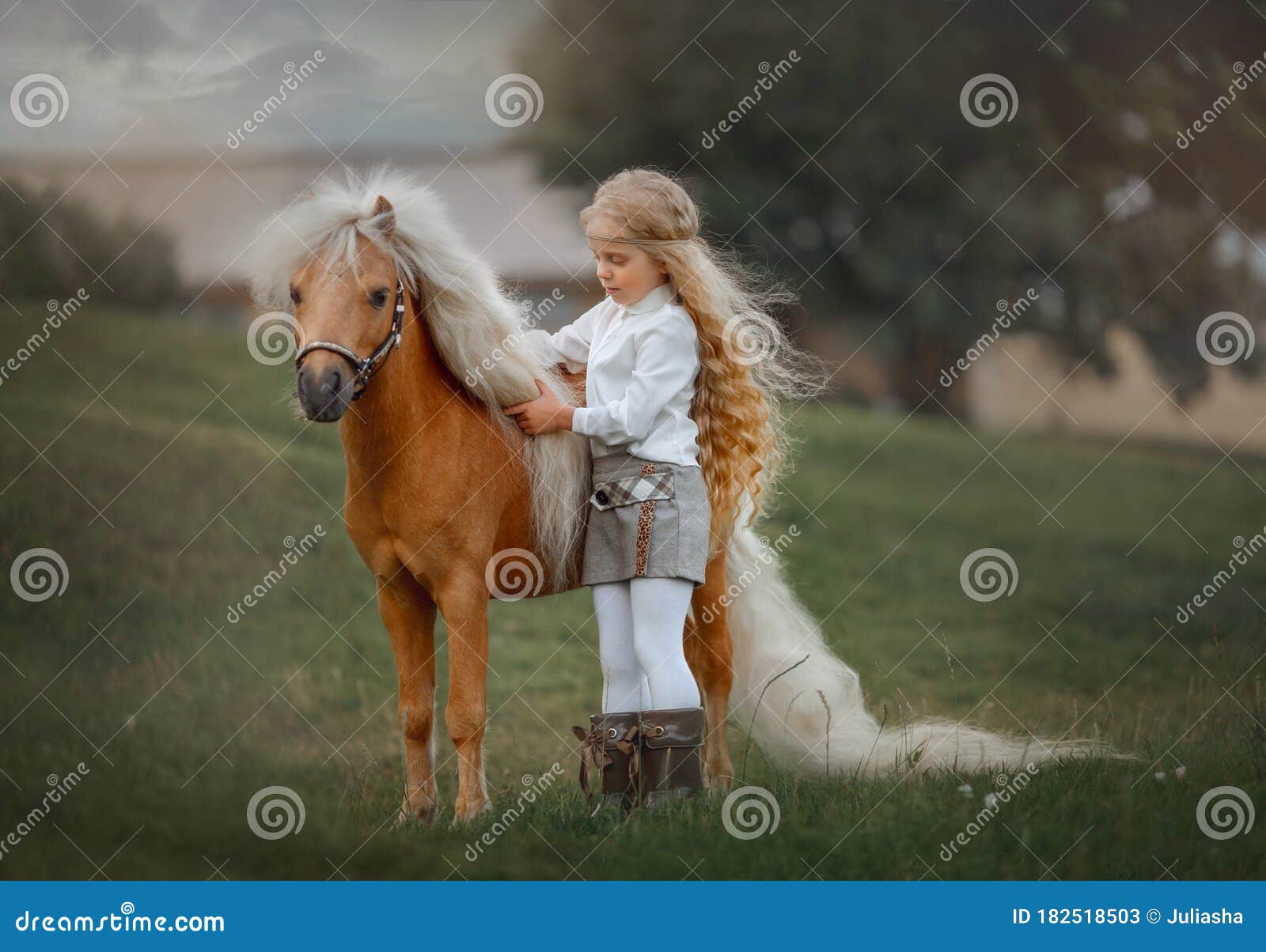 little girl with palomino miniature horse in summer day
