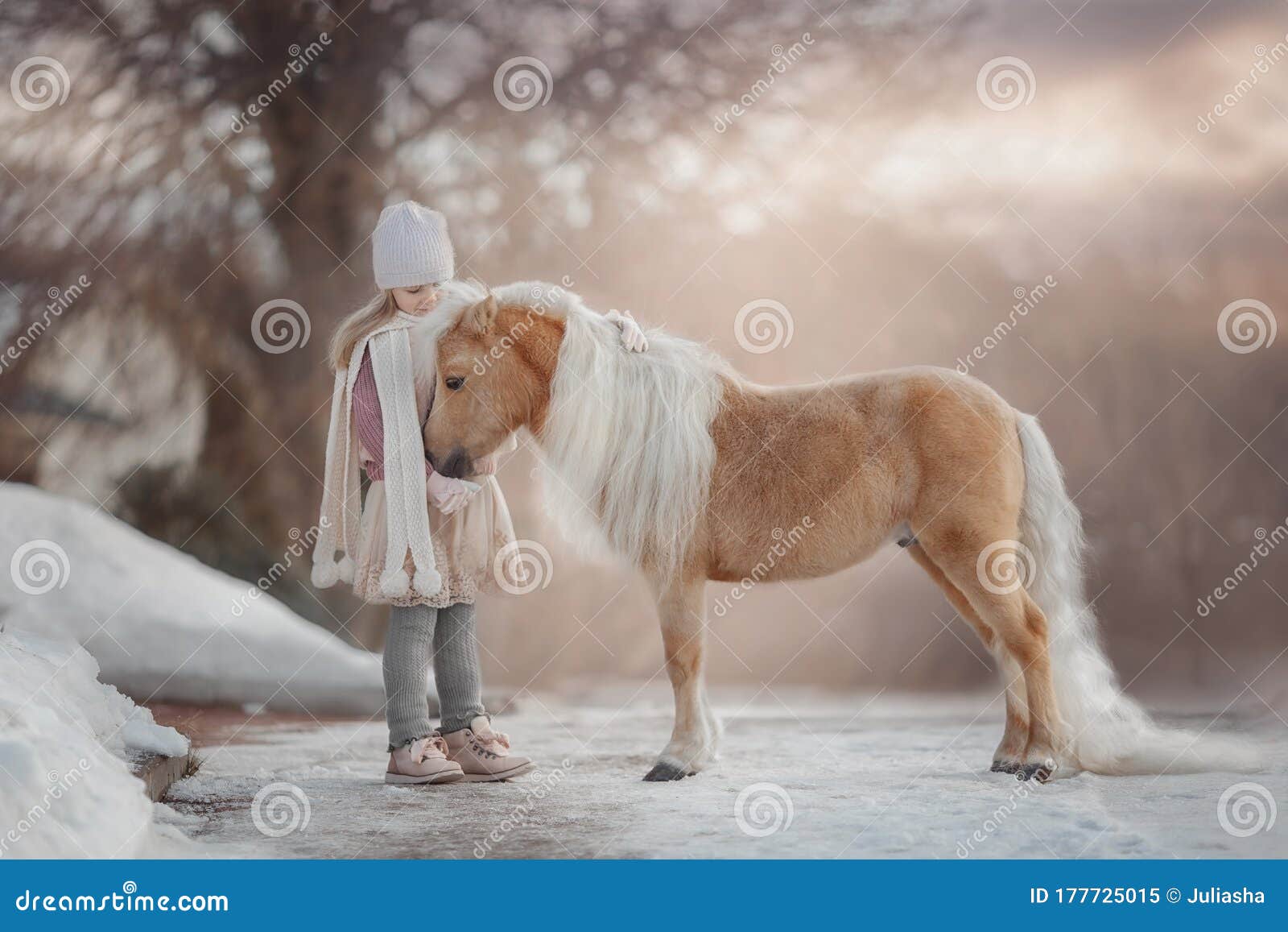 little girl with palomino miniature horse in winter park