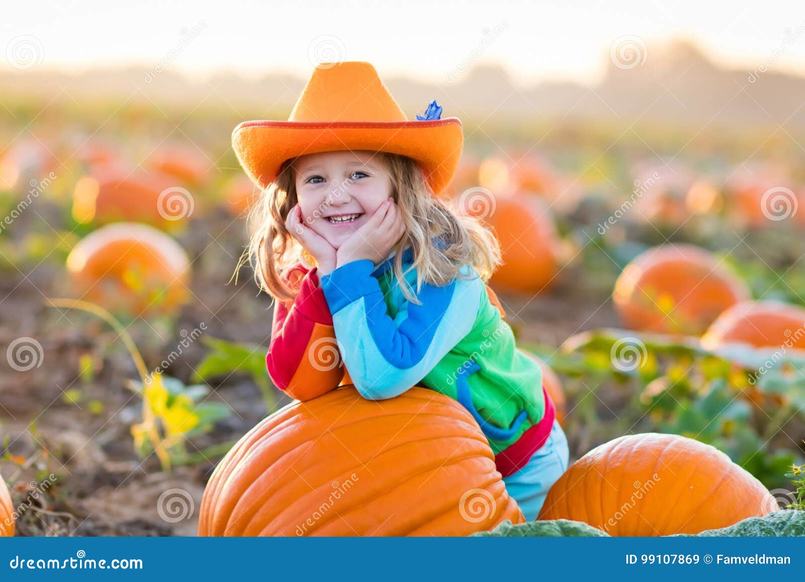 Child Playing on Pumpkin Patch Stock Image - Image of garden, harvest ...