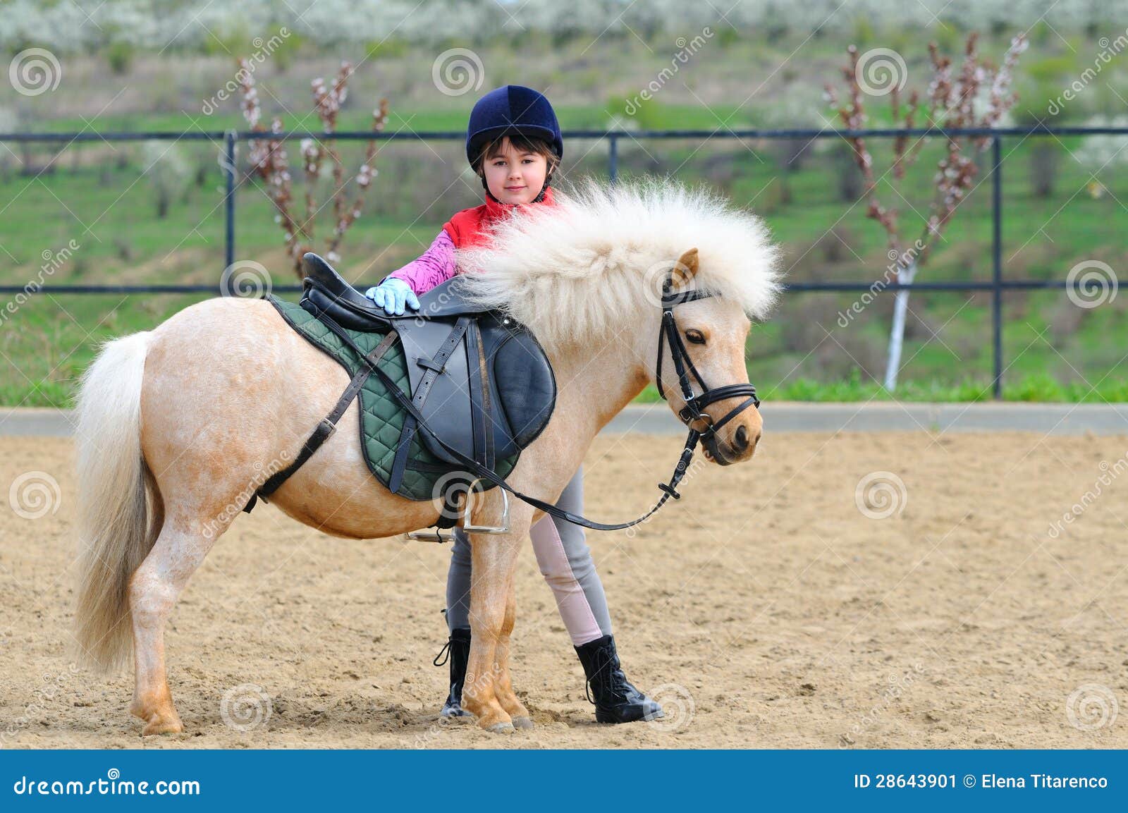 little girl and pony