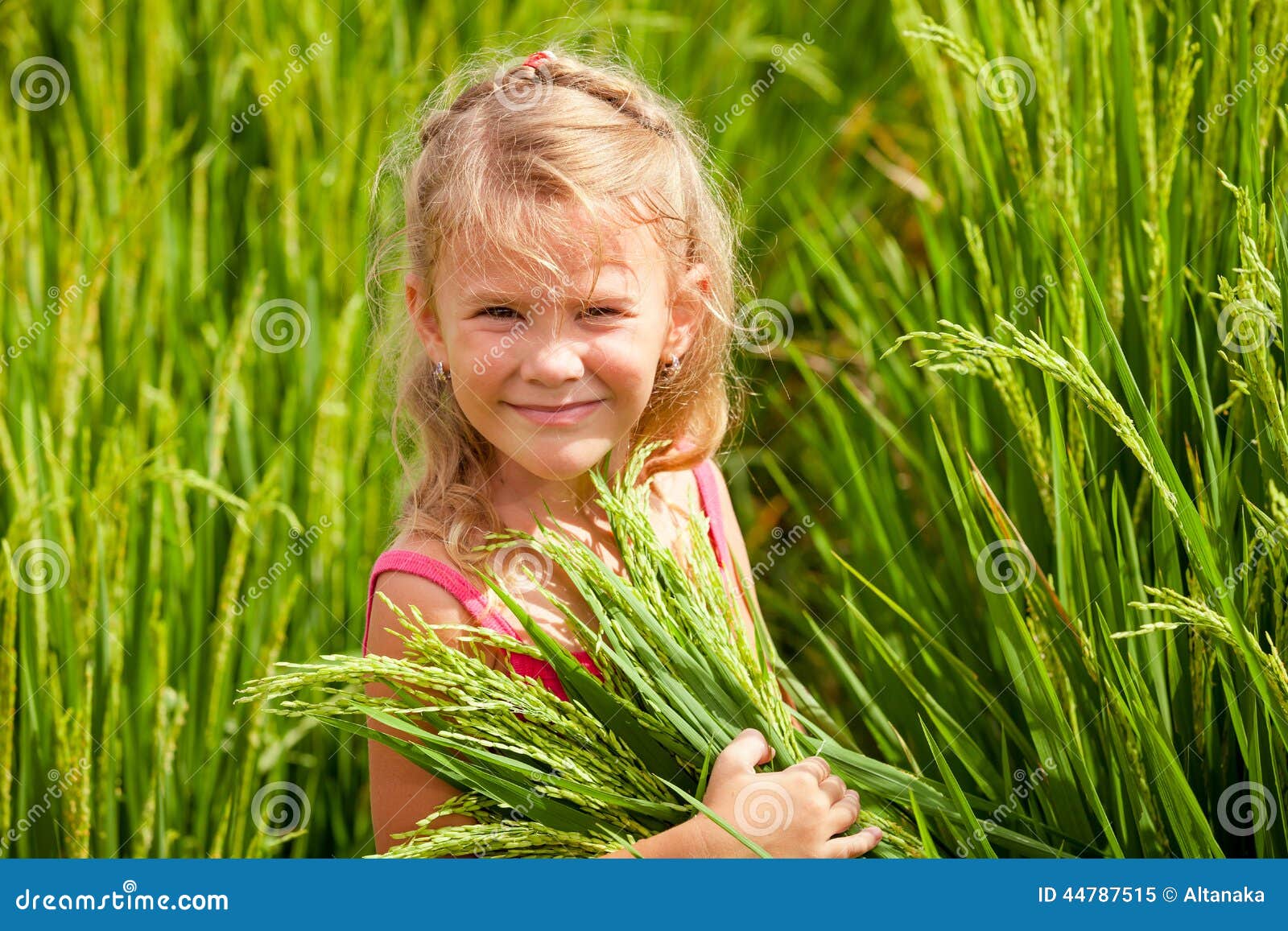 little girl on the rice paddies
