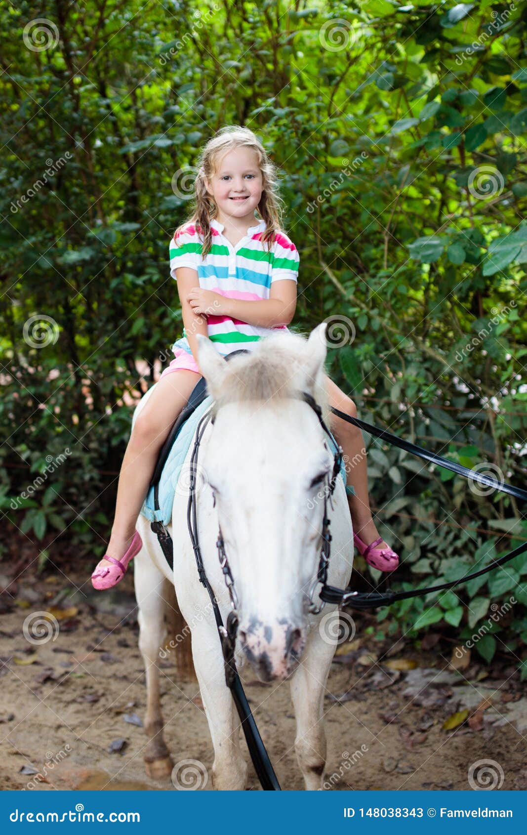 Child Riding Horse. Kids Ride Pony Stock Image - Image of kids, green:  148038343