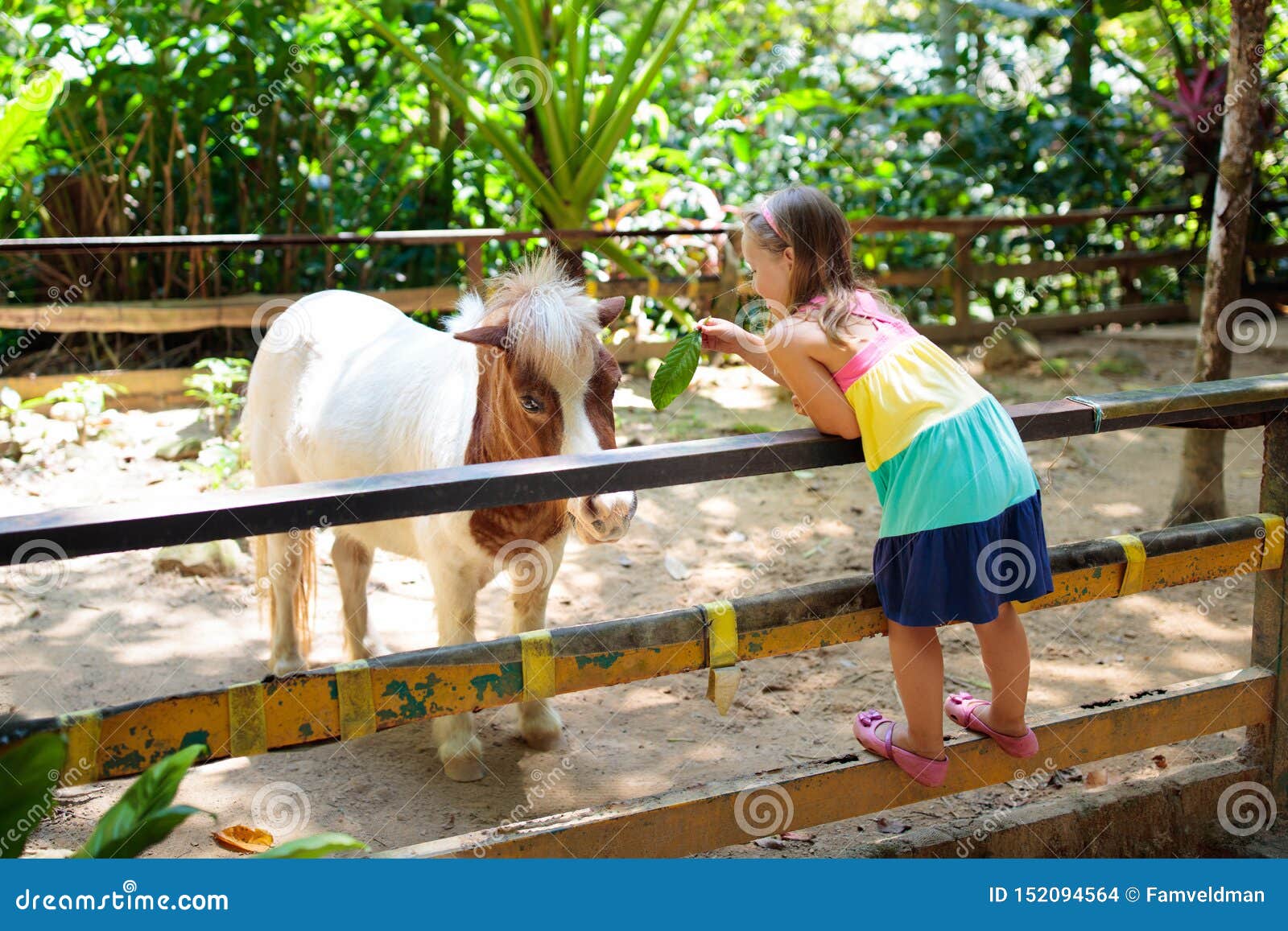 Child Riding Horse. Kids Ride Pony Stock Photo - Image of animal, animals: 152094564 Child Riding Horse. Kids Ride Pony Stock Photo - Image of animal, animals: 152094564