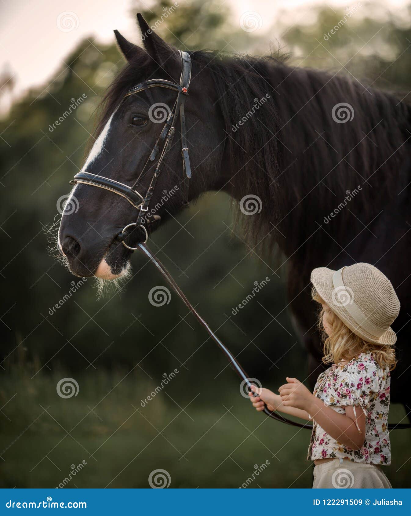 little girl with shire horse