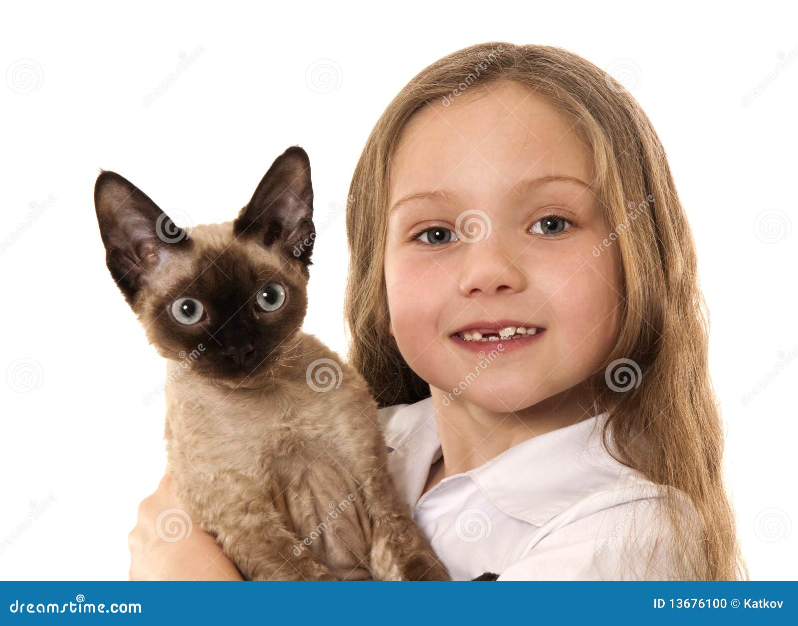 Little Girl with Siamese Kitten Stock Photo Image of little