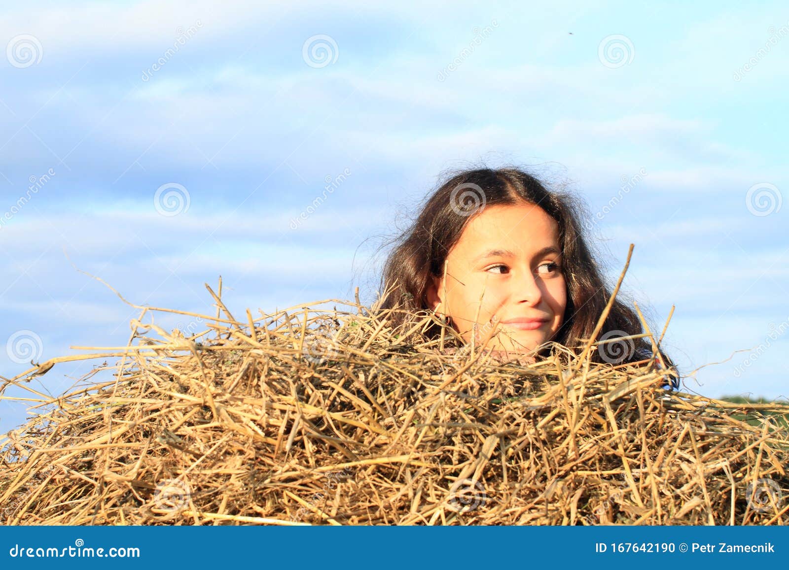 7 429 Pile Hay Photos Free Royalty Free Stock Photos From Dreamstime