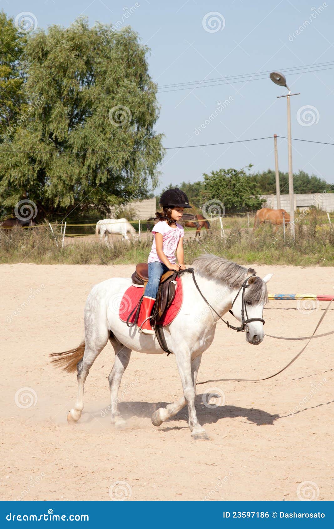 Little Girl Taking Horseback Riding Lessons Royalty Free Stock Image ...