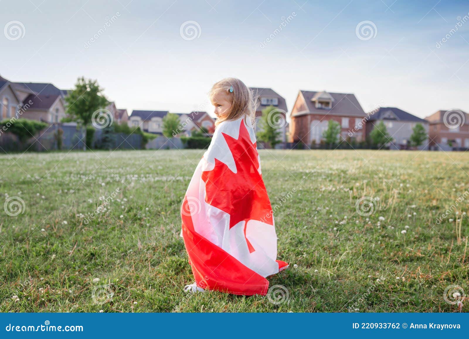 Little Girl Toddler Wrapped in Large Canadian Flag Walking in Park Meadow Outdoor.  Canada Day Celebration Outside Stock Photo - Image of child, flag: 220933762
