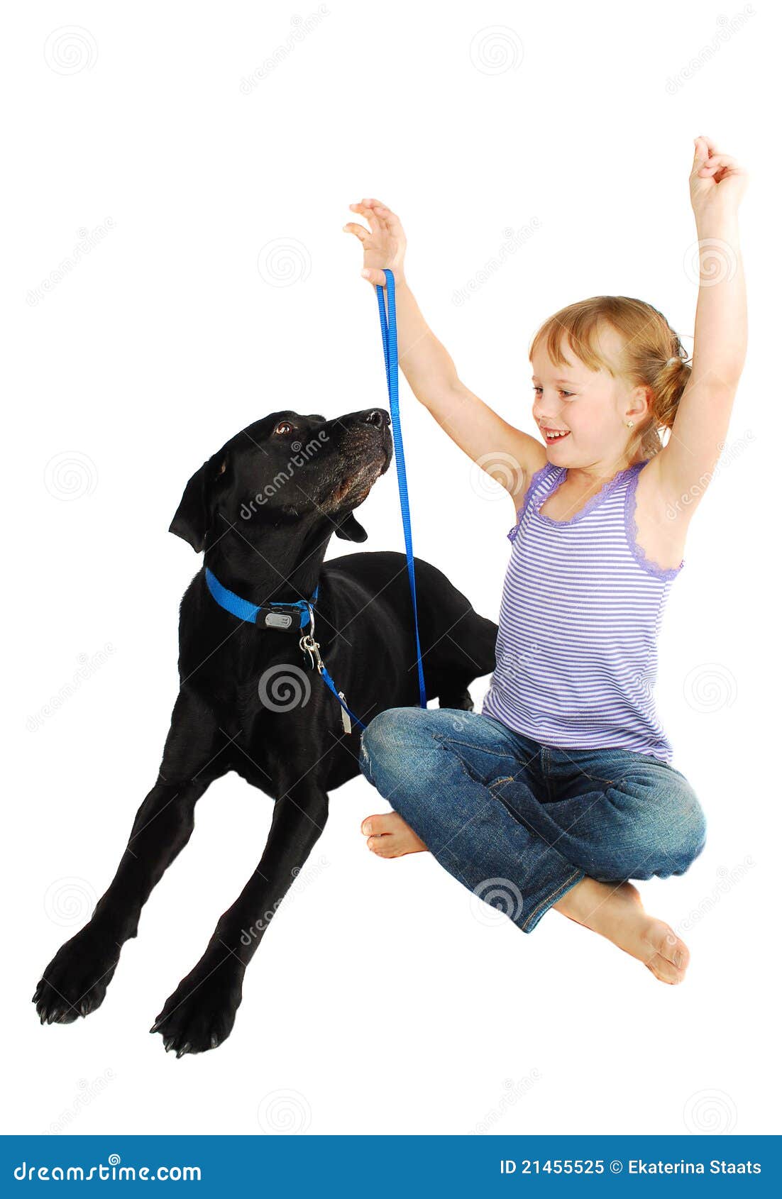 Little Girl Training Her Dog Stock Image Image of companion, little