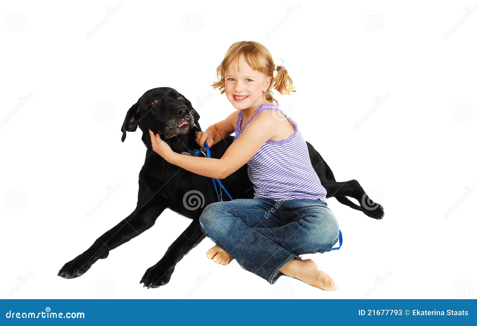Little Girl Training Her Dog Stock Image Image of household