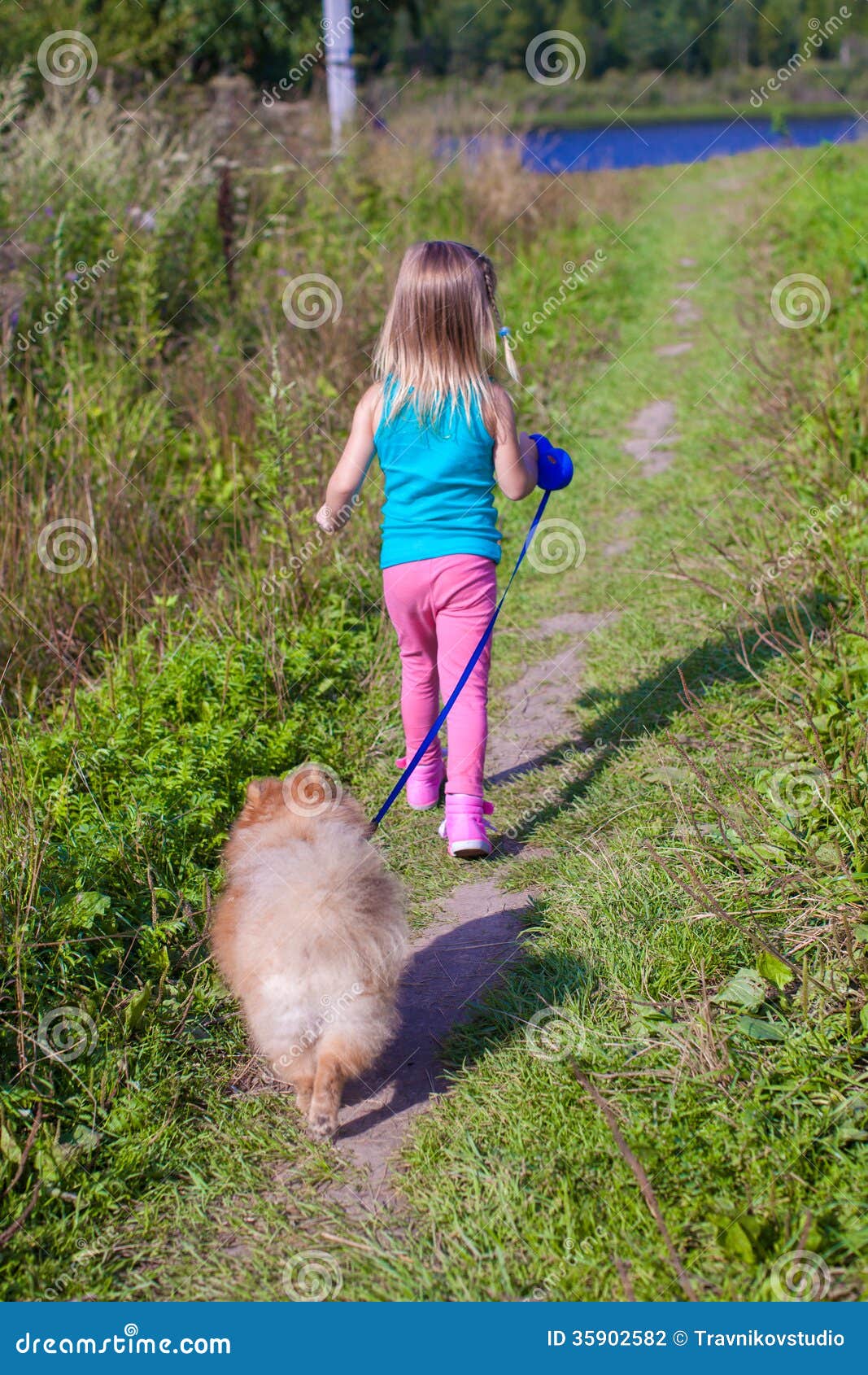 Little Girl Walking with Her ??dog on a Leash Stock Photo Image of