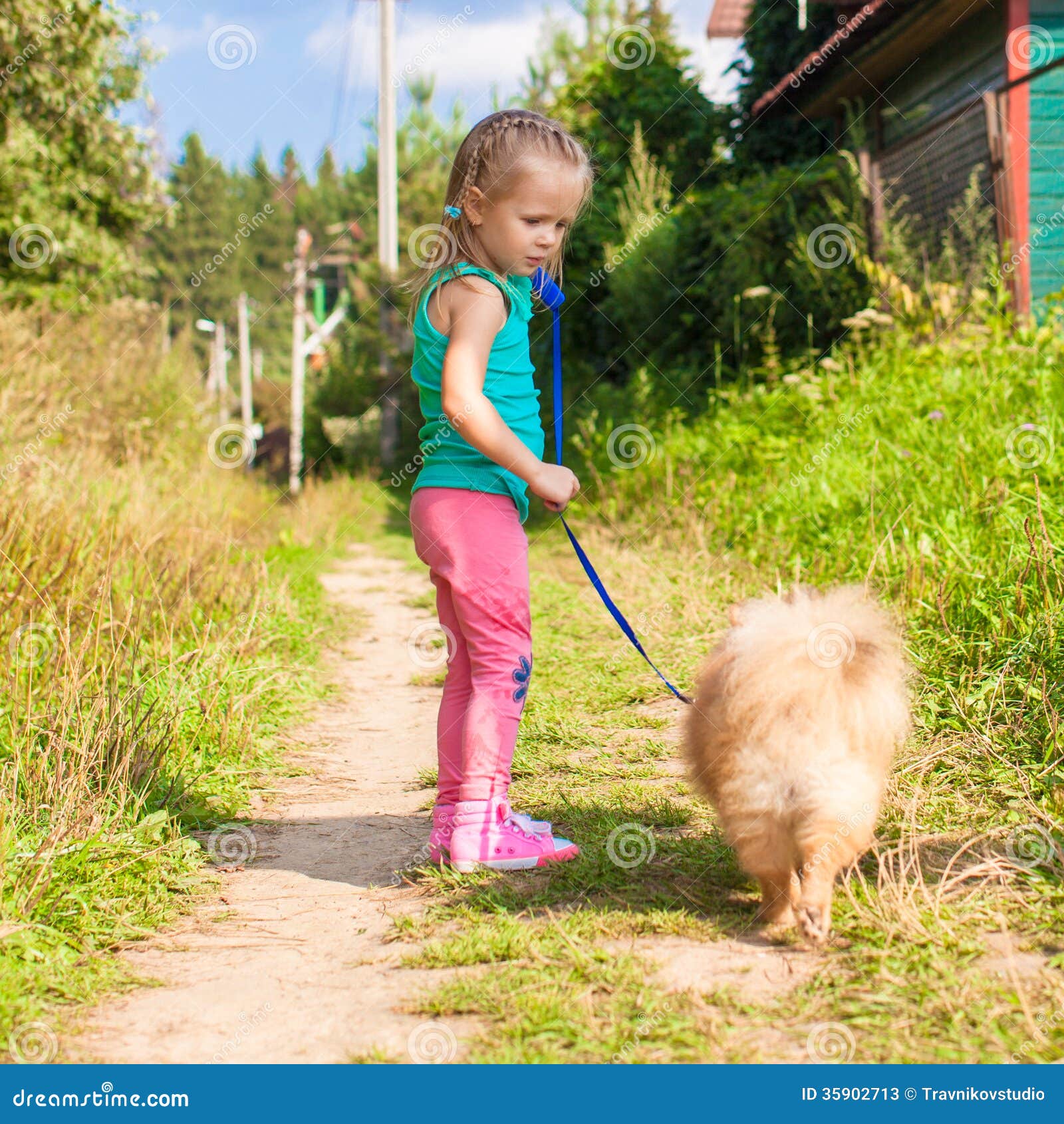 Little Girl Walking with Her ??dog on a Leash Stock Image Image of