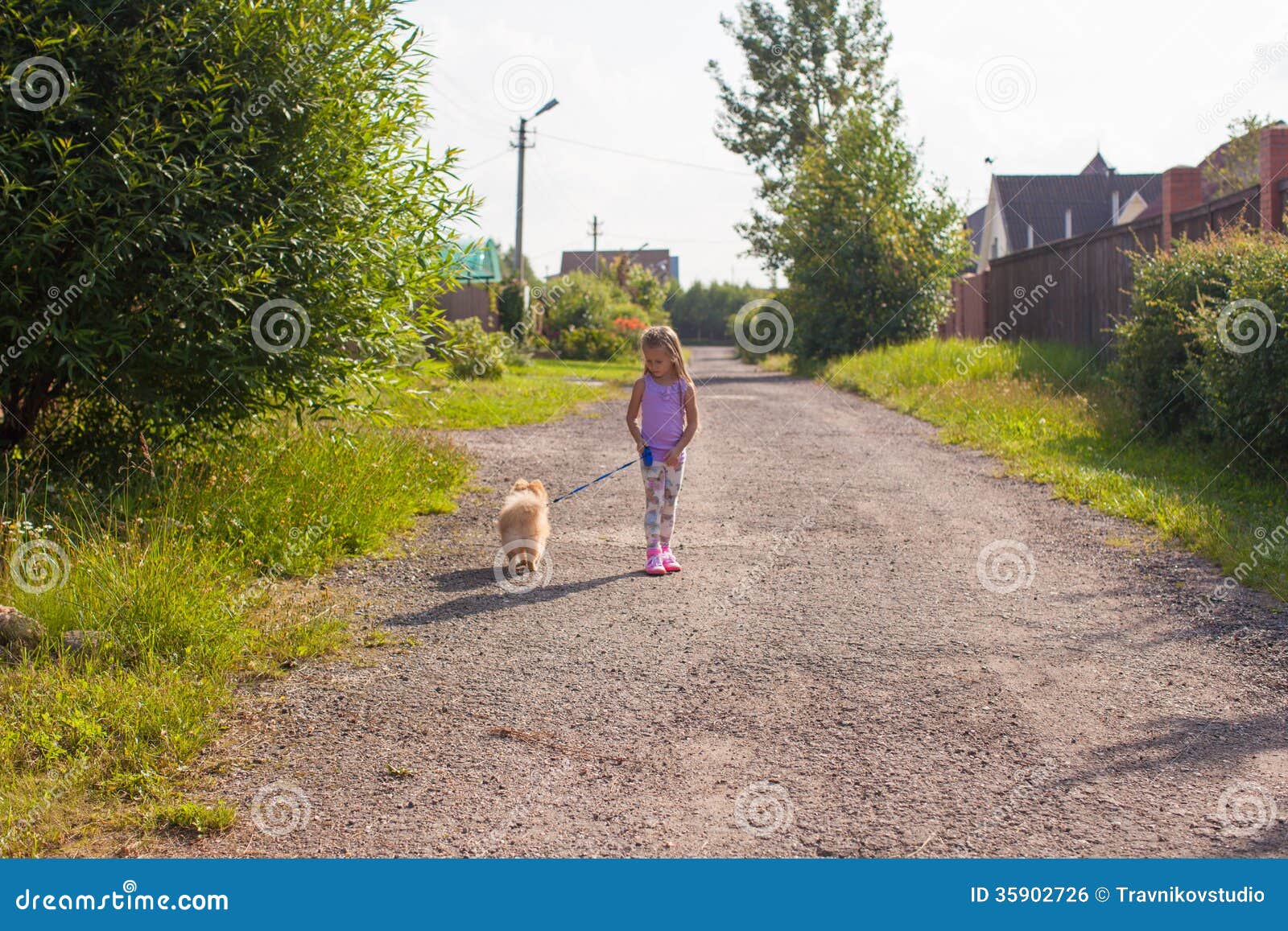 Little Girl Walking with Her ??dog on a Leash Stock Photo Image of
