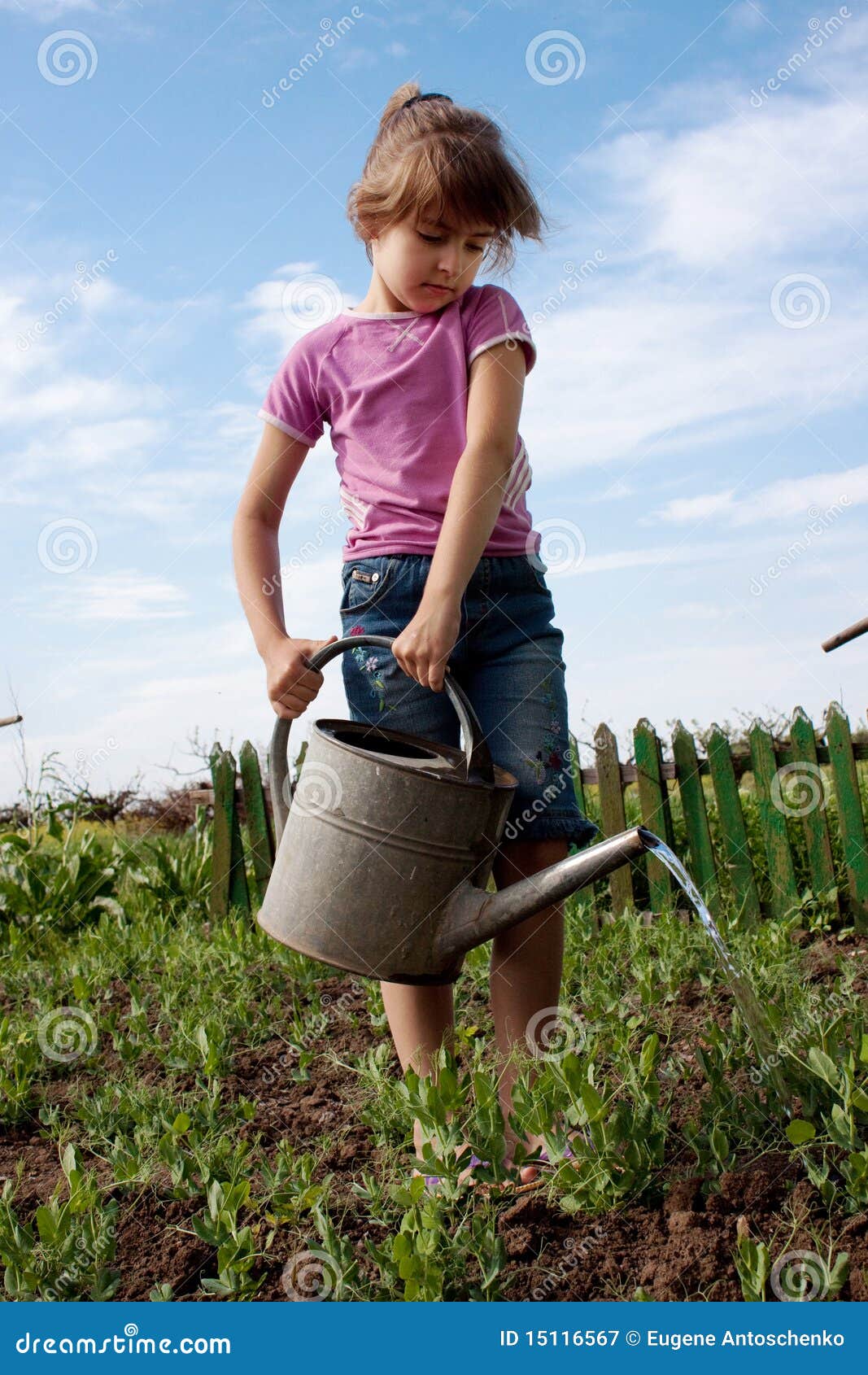 Little Girl with Watering Can Stock Image Image of blue, front 15116567