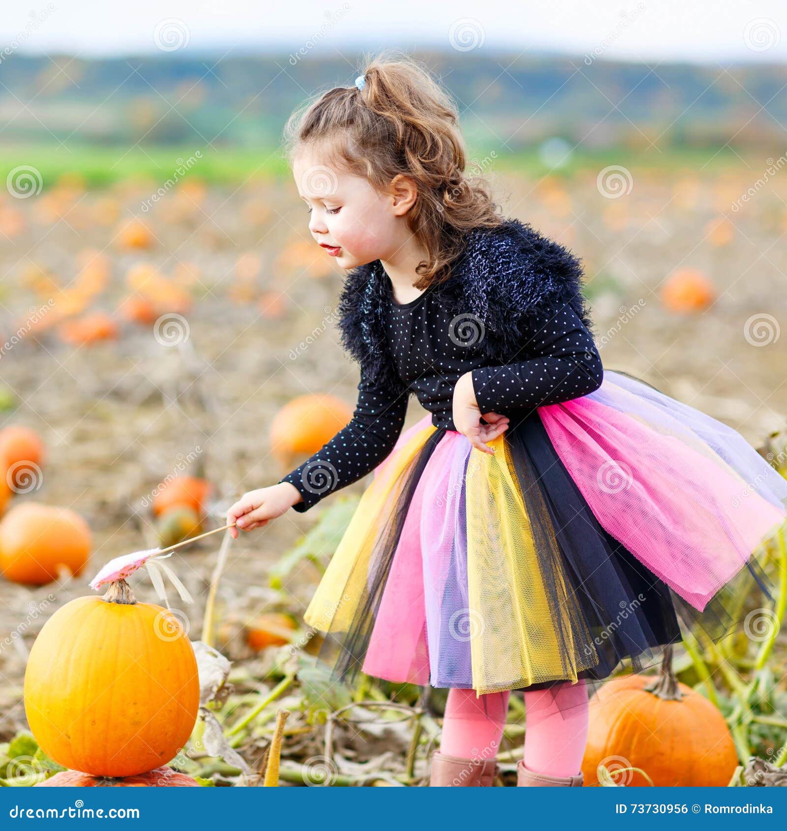 Little Girl Wearing Halloween Witch Costume on Pumpkin Patch Stock ...