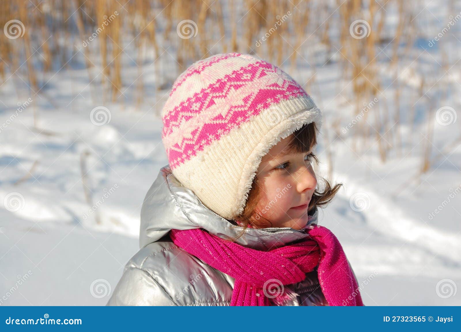 Little Girl Winter Portrait Stock Image - Image of happy, child: 27323565